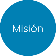 Misión